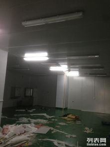 金山石化區(qū)食品廠專業(yè)凈化工程 彩鋼巖棉板隔斷、車間隔墻與工裝裝修一體化解決方案